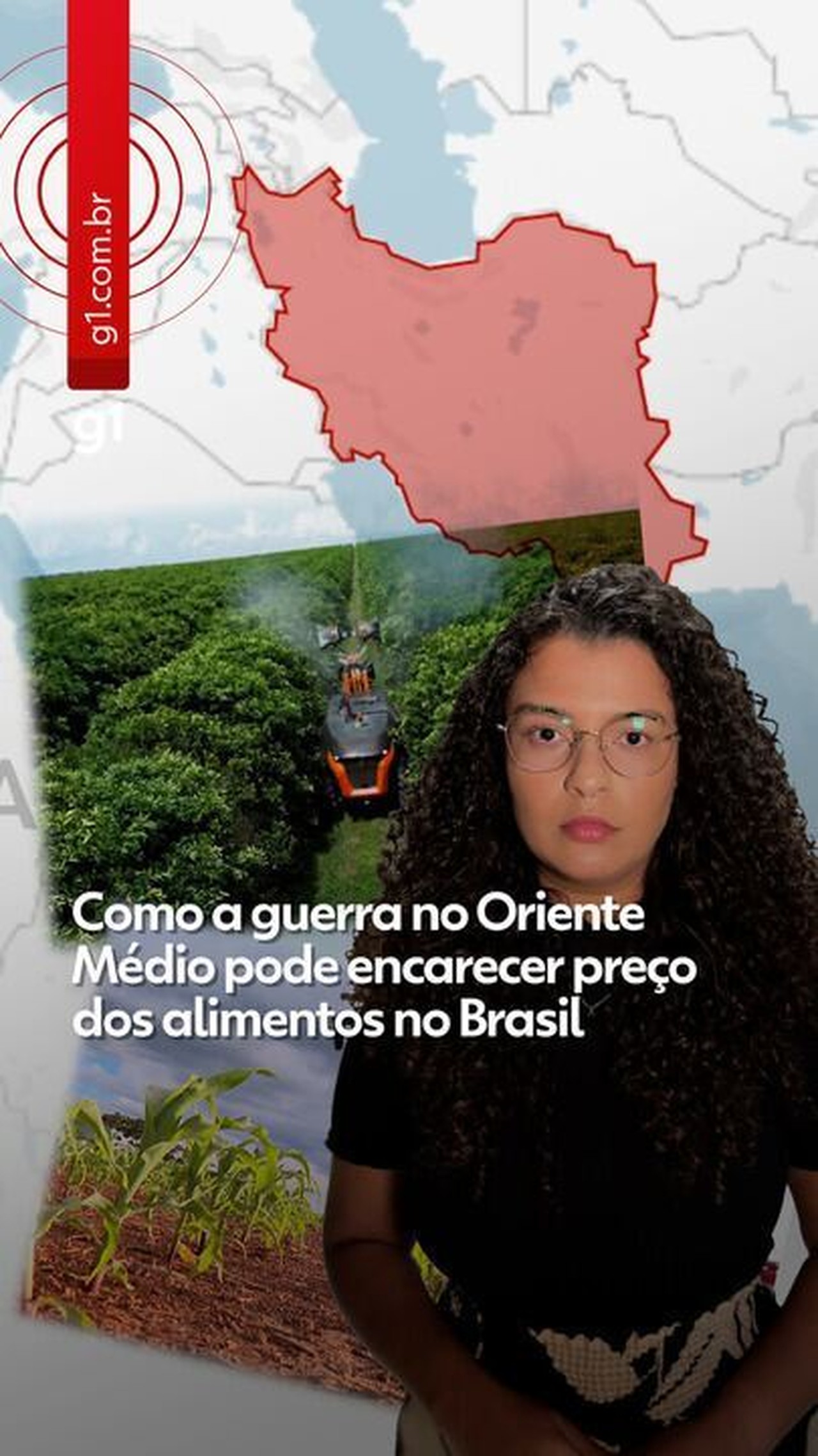 China flexibiliza regra sobre ervas daninhas na soja brasileira, e cargas devem ser liberadas