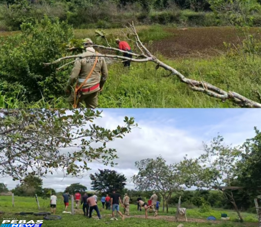 Mistério e angústia: polícia investiga desaparecimento de criança e não descarta hipótese de rapto
